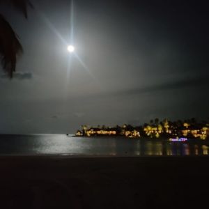 Meet your Posher, Kandala